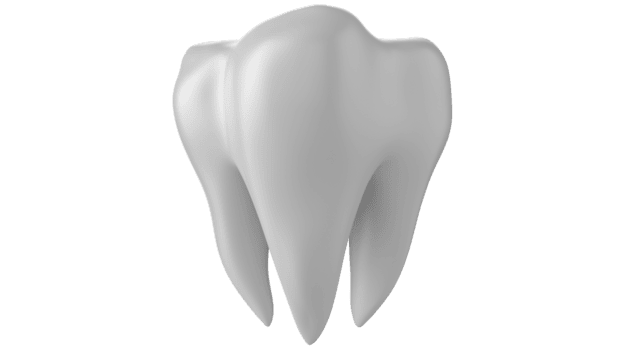 3d dental teeth isolated on transparent background free png