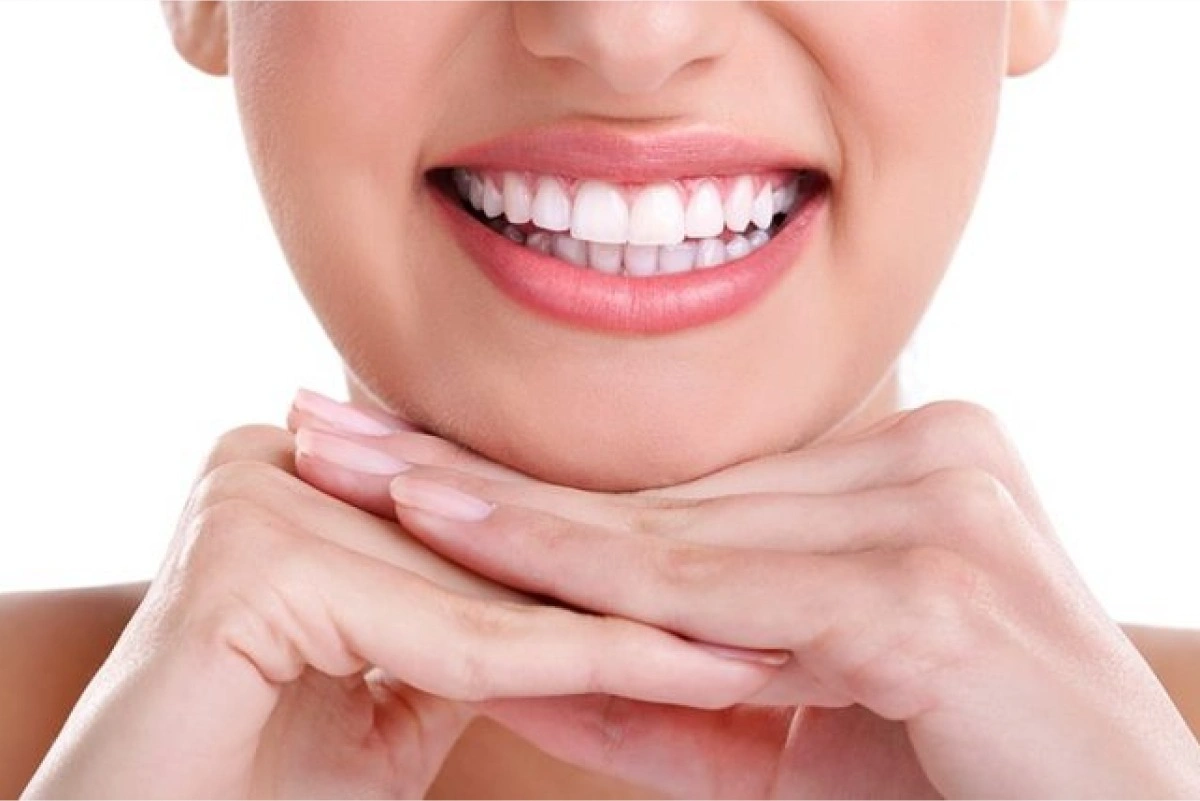 78e561a7 636a 445c a35e c1a2f119c6f3